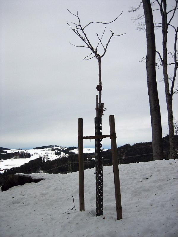 2009 12 06 A